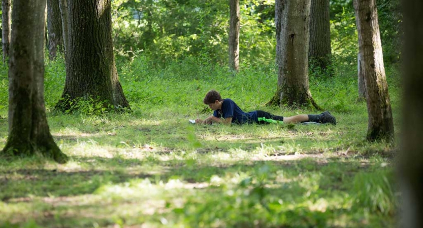 A person lays in the grass of a wooded area and appears to be journaling. 